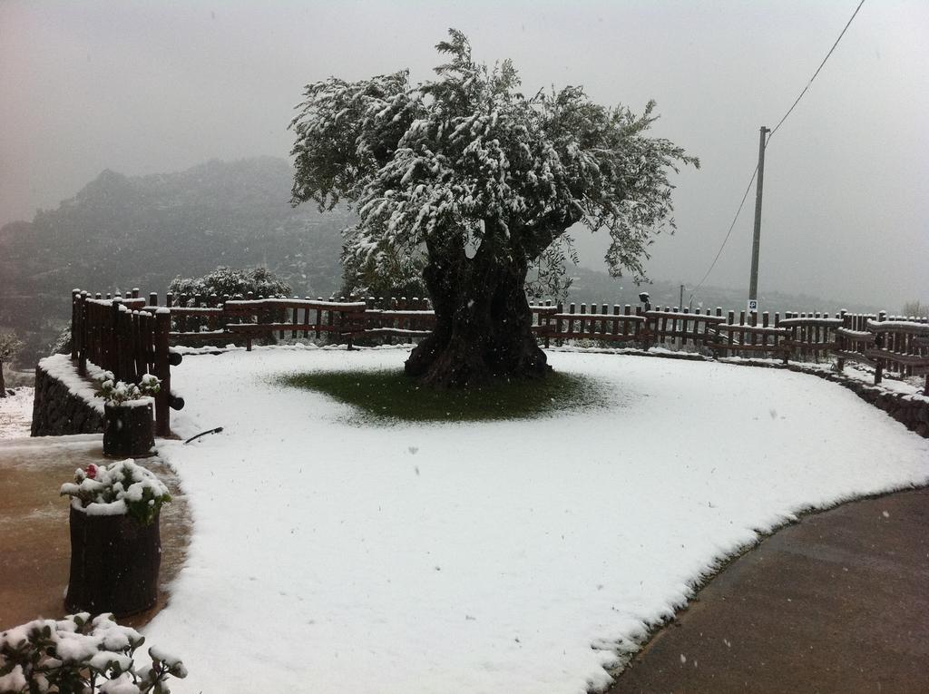 Hotel Turismo Rurale Belvedere Pradonos